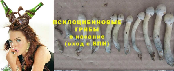 спайс Абдулино