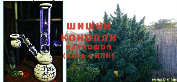 молекула духа Сафоново