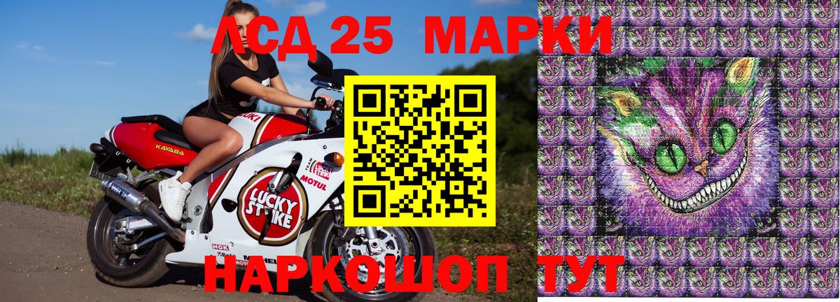 Елизово  МЕФ   Кокаин  Вход с VPN  Гашиш  Наркошоп 