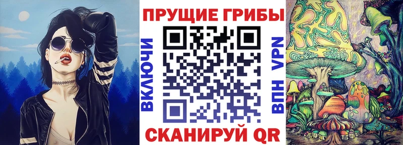 Галлюциногенные грибы ЛСД  MEGA зеркало  Елизово 