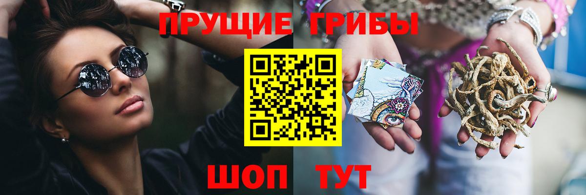 Елизово  Галлюциногенные грибы мухоморы  Галлюциногенные грибы Psilocybe  Вход с VPN 