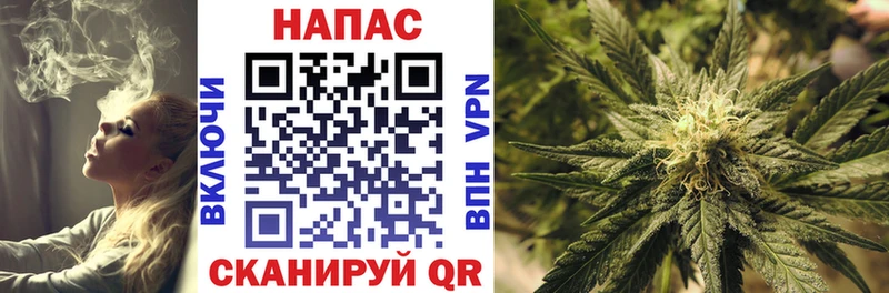 МАРИХУАНА ГИДРОПОН  Елизово 